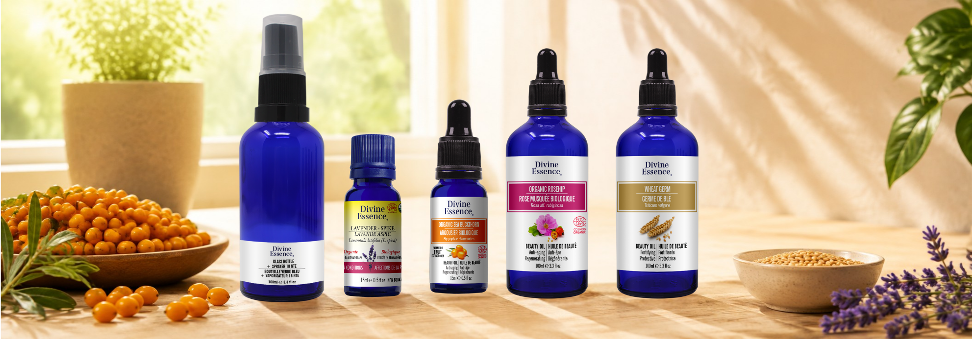 PRE-SUN PREPARATION OIL – Divine Essence