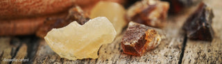 Are you familiar with Frankincense and it’s extraordinary benefits?