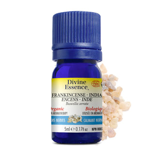 Frankincense India (B. Serrata) Organic