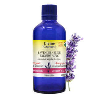 Lavender - Spike Organic