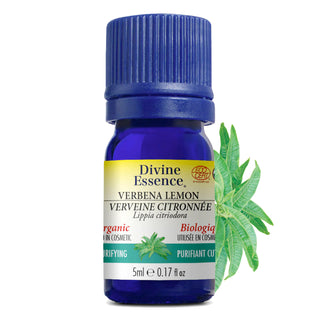 Verbena Lemon Organic