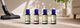CARPET CLEANING POWDER