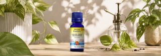 HOUSE PLANT SPRAY