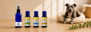 ODOR CONTROL SPRAY FOR DOGS