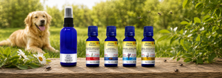 OUTDOORS SPRAY FOR DOGS