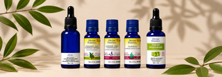 TOENAIL HEALTH & SPORTS