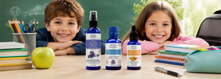 Back to school, for kids and adults