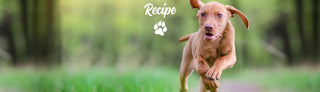 RECIPE: OUTDOORS SPRAY FOR DOGS