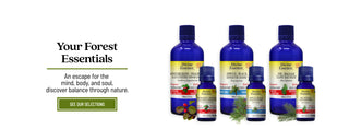 Your Forest Essentials!