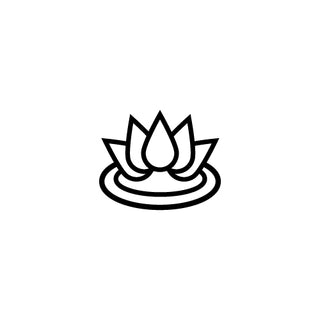 Revive your Senses
