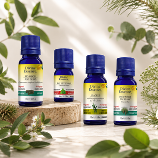 Botanical Discovery