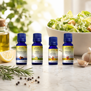 Ceasar Salad Dressing (4 Flavours) bundle