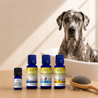 Dog Shampoo