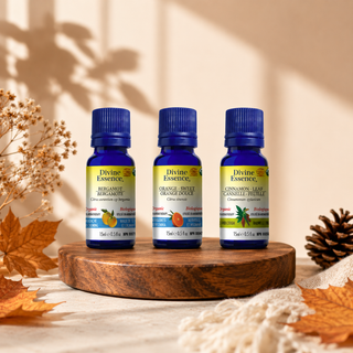 Ensemble diffusion Fraîcheur d'automne