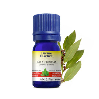 Botanical Discovery