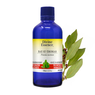 Botanical Discovery