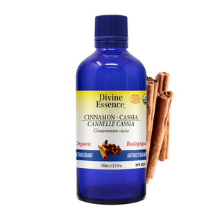 VAPORISATEUR D'AMBIANCE SPÉCIAL VACANCES DOUX