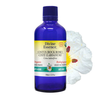 Firming Night Serum