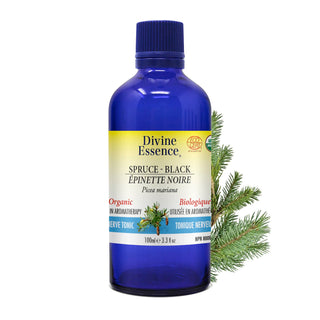 LOVER'S SYNERGY BLEND #1