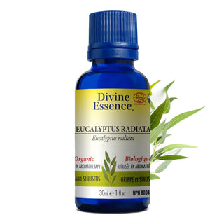 Carpet Cleaning Powder