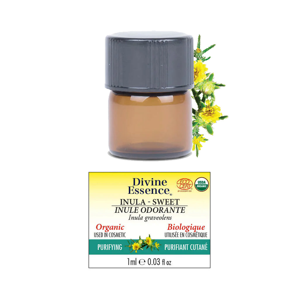 Inula Sweet Organic – Divine Essence