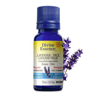 LOVER'S SYNERGY BLEND #4