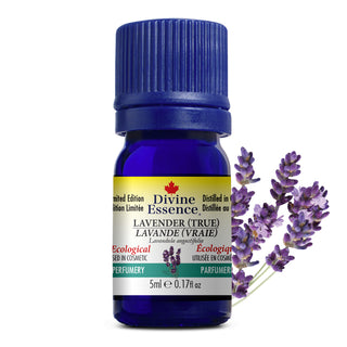 Lavender (True) Ecological / Canada Distillation