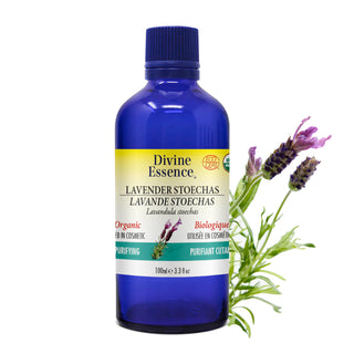Lavender Stoechas Organic