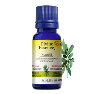 Botanical Discovery
