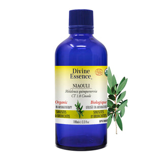 Botanical Discovery