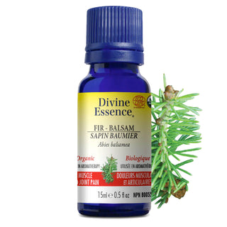 Cocooning Synergie Blend