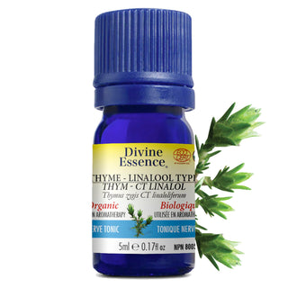 Provenence Synergy Blend