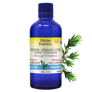 Provenence Synergy Blend
