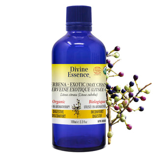 OUTDOORS SPRAY FOR DOGS