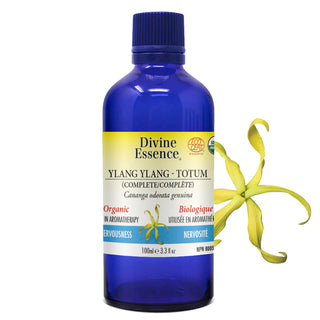 REDUCES YOUR STRESS AND ANXIETY