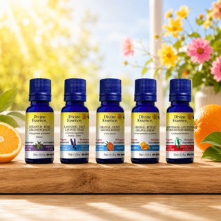 Joy & Happiness diffusion bundle