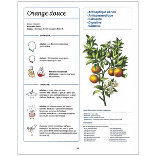 Le guide Terre vivante des huiles essentielles
