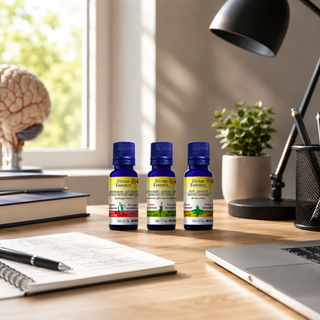 Memory-Concentration diffusion bundle