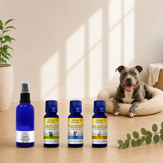 Odor Control Spray for Dogs