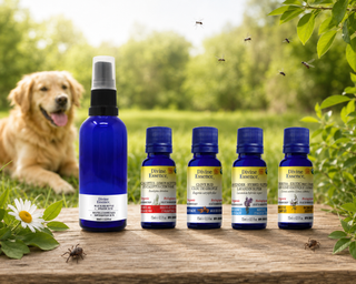 OUTDOORS SPRAY FOR DOGS