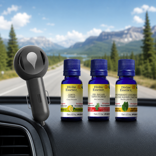 Roadtrip