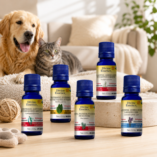 Pet Odor Eliminator