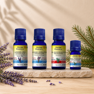 Provenence Synergy Blend