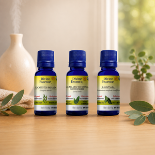 Relieve Cold and Coughs with Essential Oils bundle