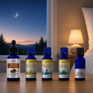 Soothe Your Insomnia and Nervous Fatigue bundle