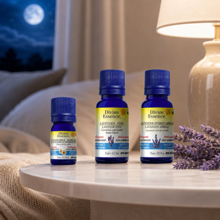 Sleep Synergy Blend bundle