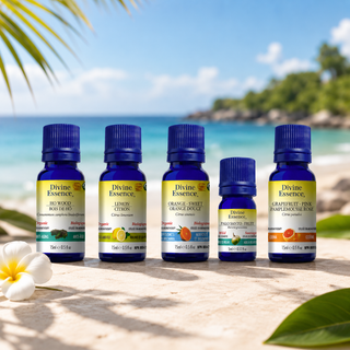 Ambiance Tropicale