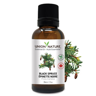 Black Spruce