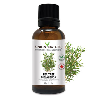 Tea Tree