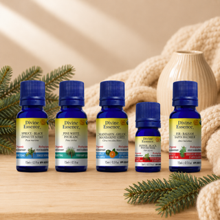 Cocooning Synergie Blend